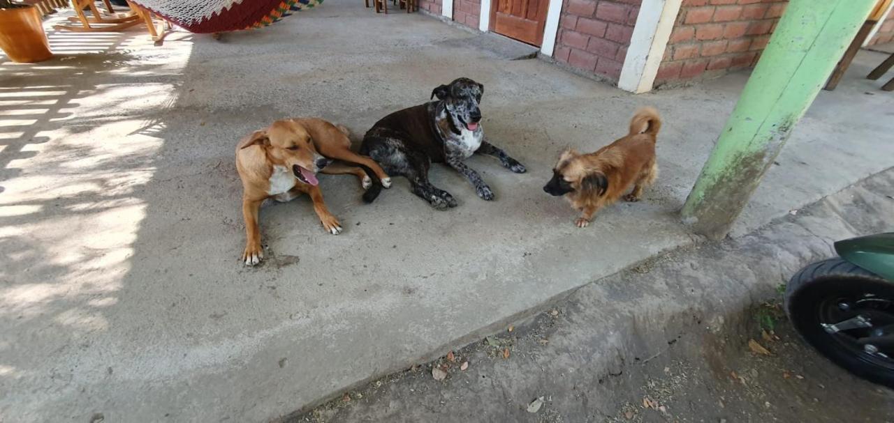 B&B, Family Run Homestay, Hospedaje La Penita Altagracia エクステリア 写真